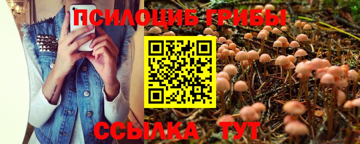 Люберцы  Галлюциногенные грибы Magic Shrooms  Вход с VPN 